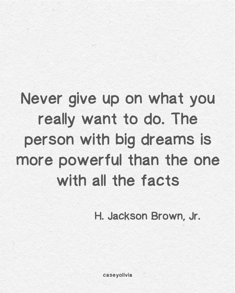 never give up dream big quote