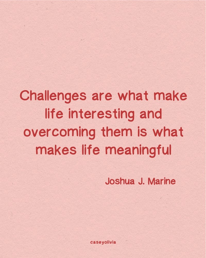 embrace challenges in life and keep pushing quote