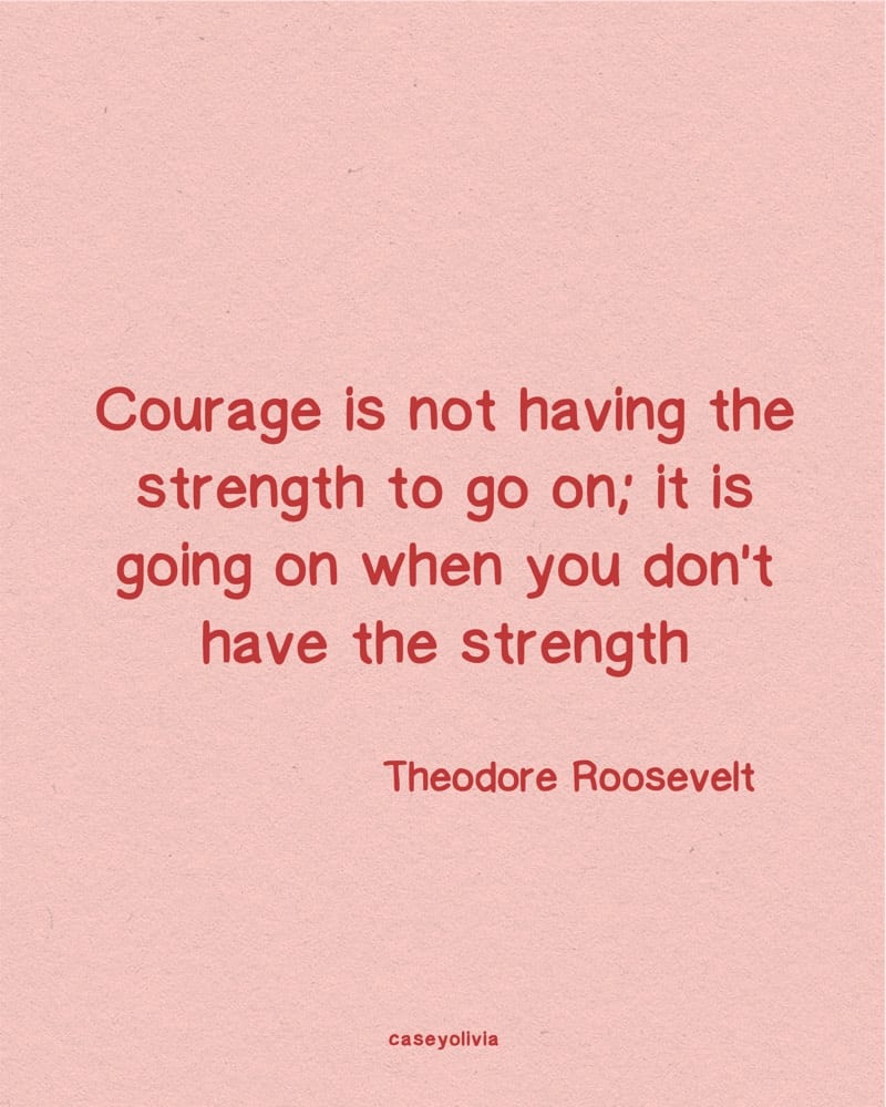 theodor roosevelt quote for motivation