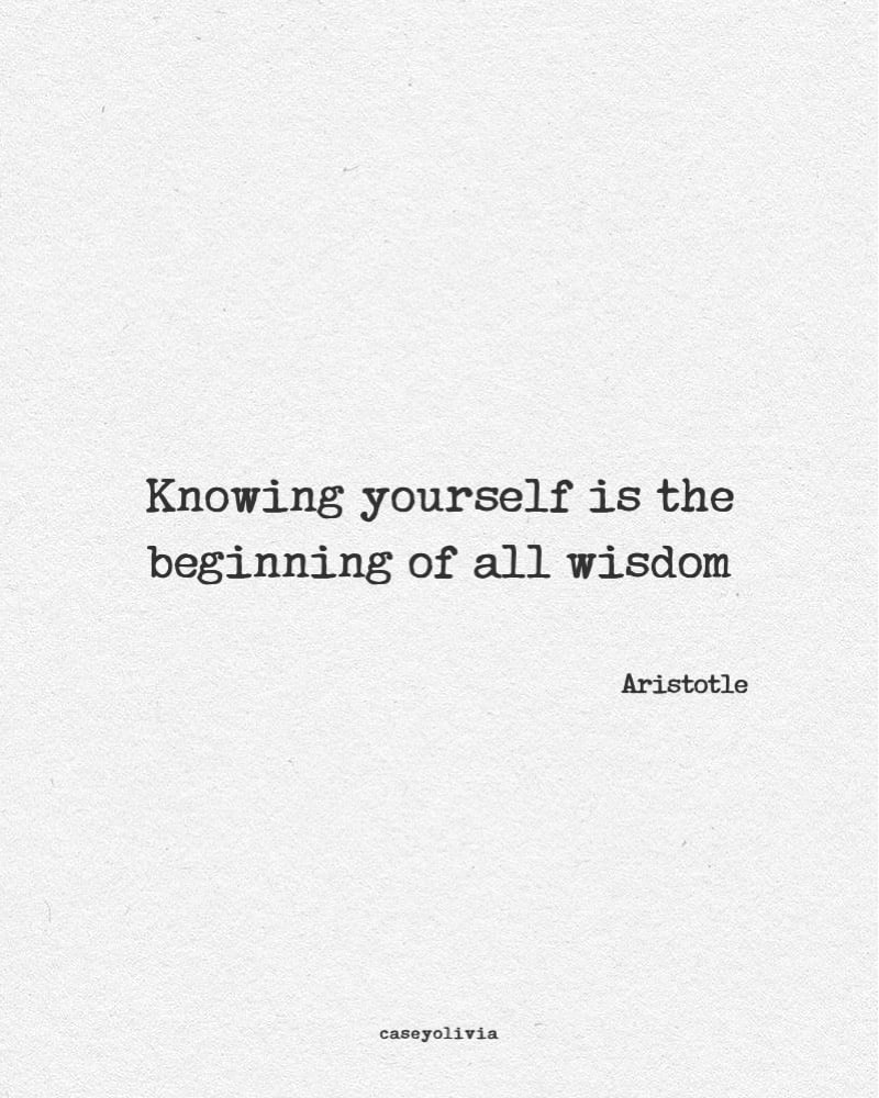 knowing yourself quote from aristotle