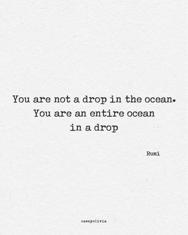 rumi quote entire ocean in a drop