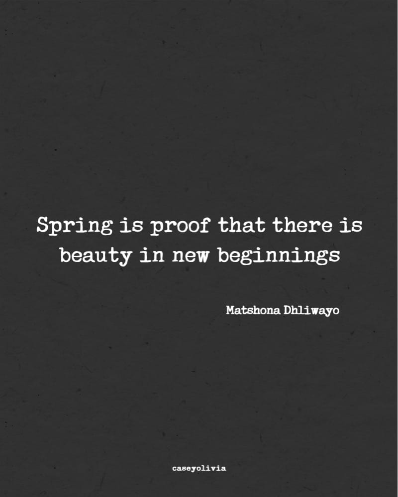 beauty in fresh start short quote