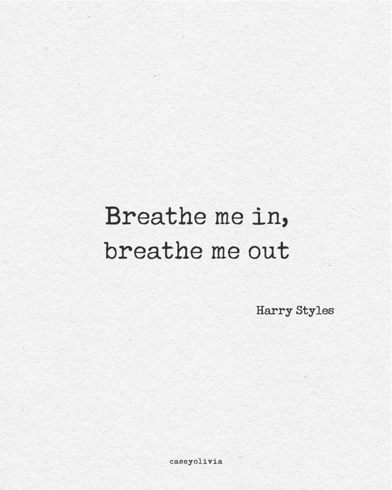 breathe me in harry styles song lryics