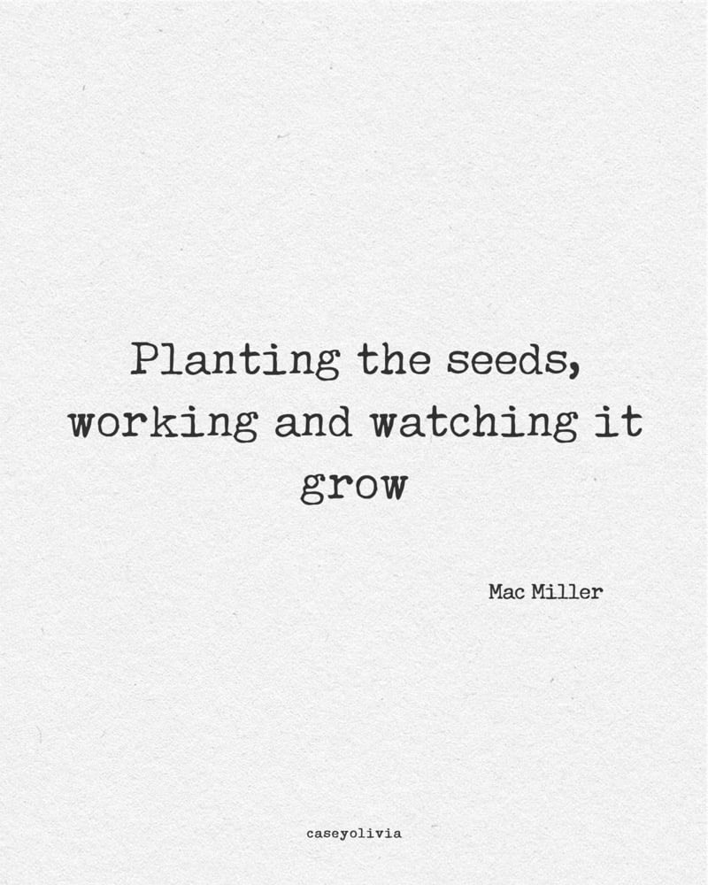 plant the seeds inspirational words