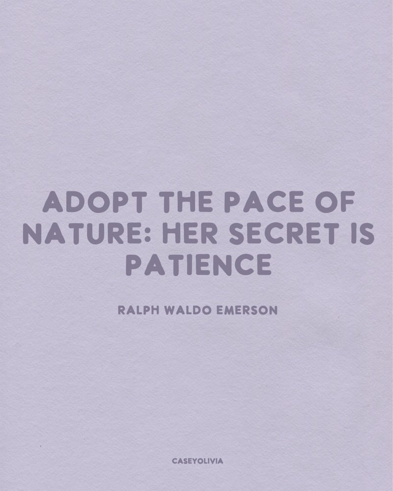 her secret is patience ralph waldo emerson