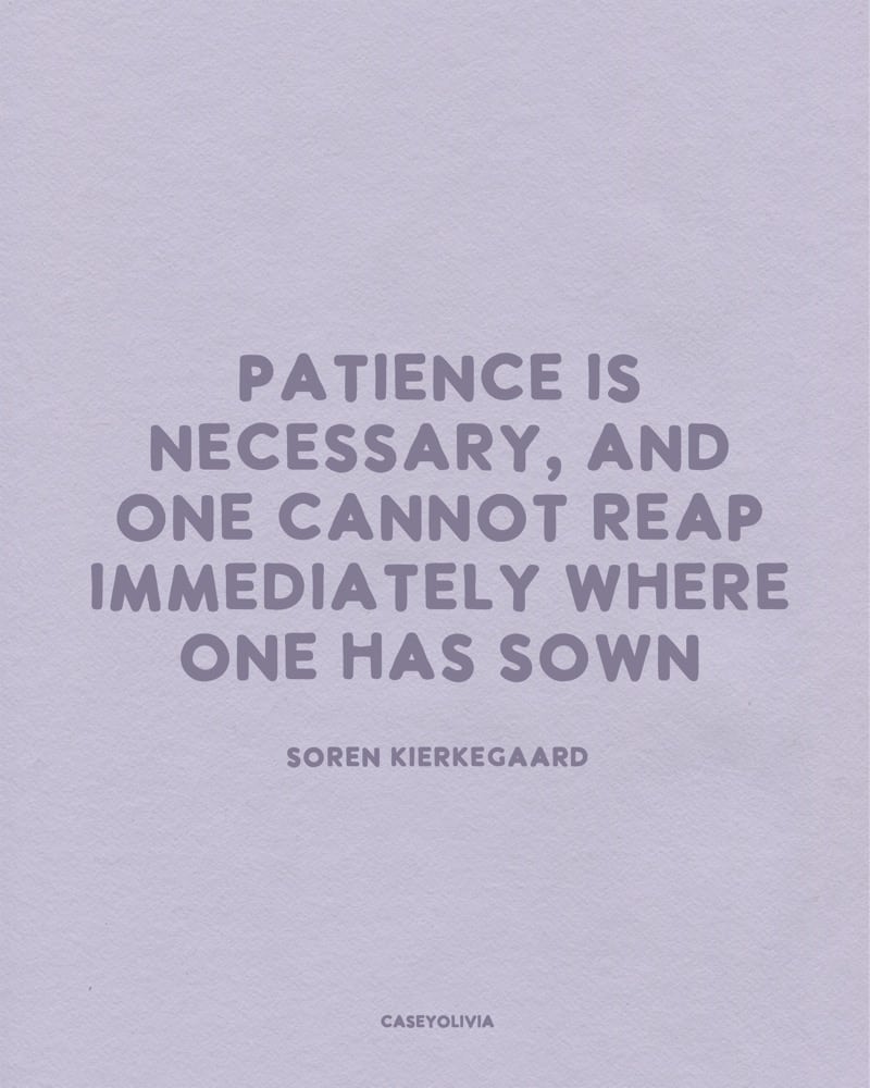 short quote about how patience is necessary