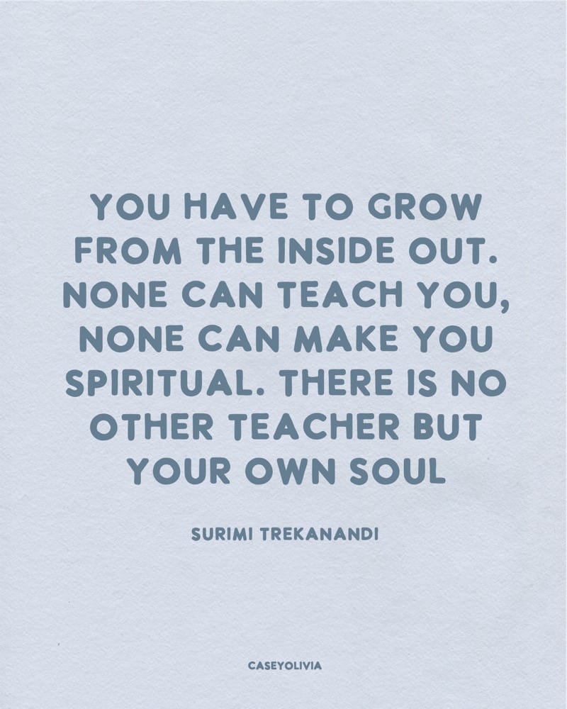 no other teacher but your own soul quote