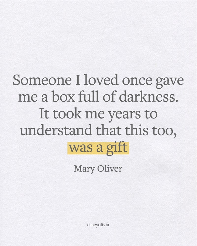 box full of darkness mary oliver
