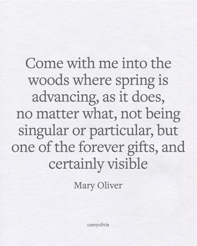 mary oliver come with me into the woods poetry