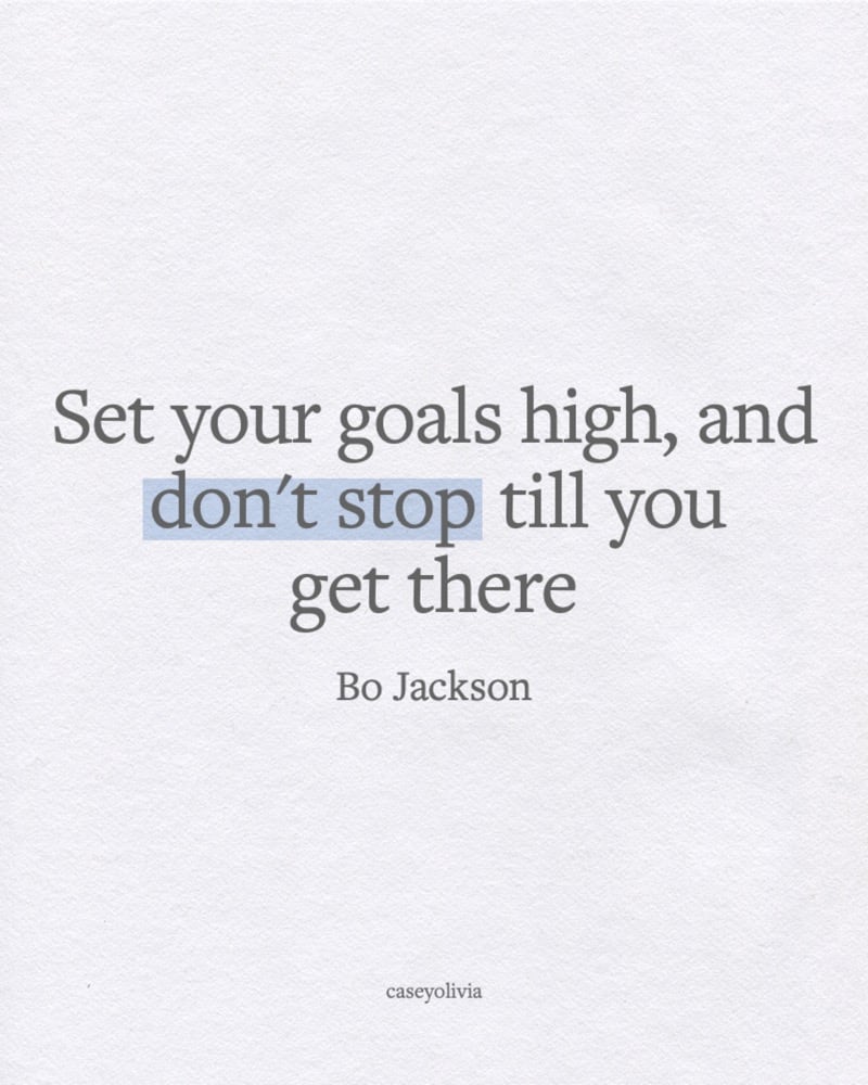 set your goals high quote for motivation