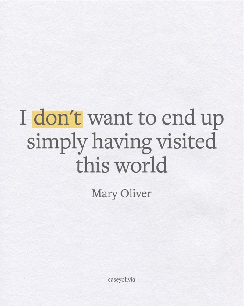 mary oliver saying about living life fully