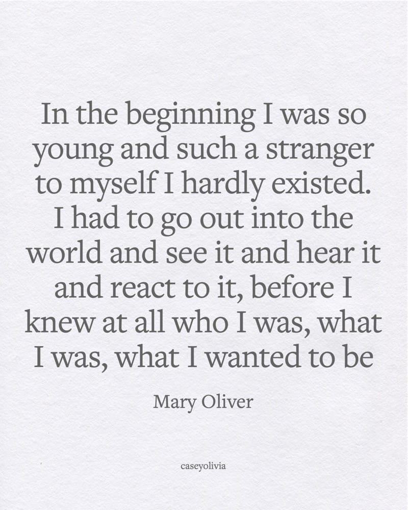 mary oliver tumblr life quote