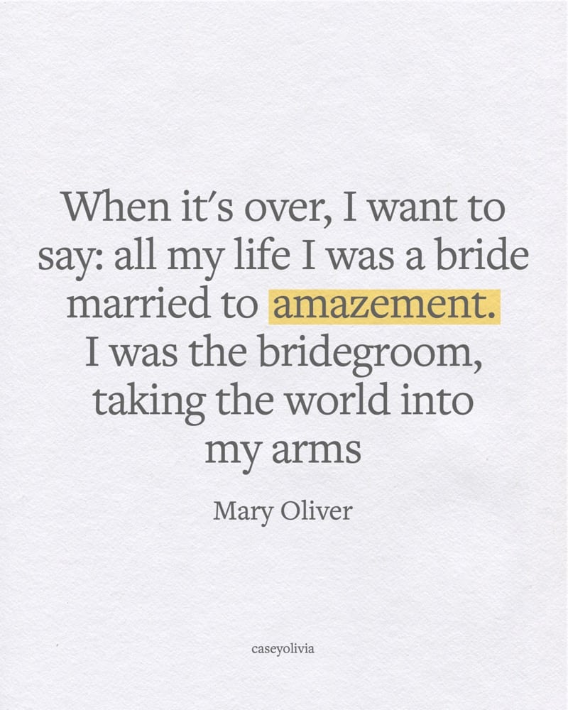 quote from mary oliver married to amazement