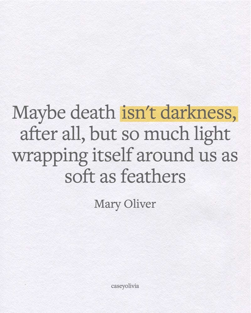 so much light mary oliver saying
