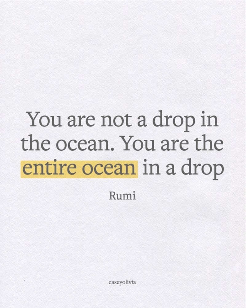 rumi you are the entire ocean in a drop