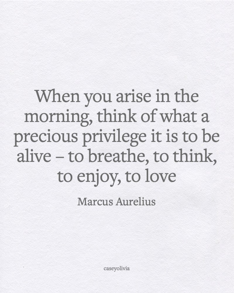 marcus aurelius live life with passion quotation