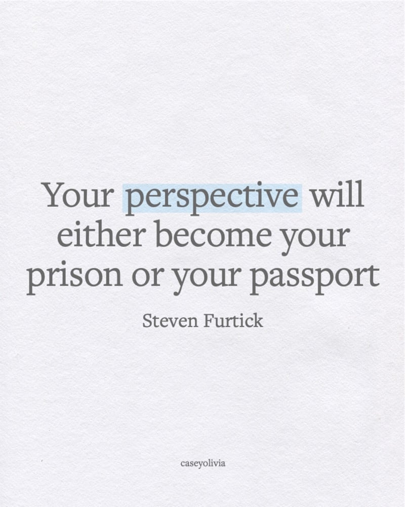 steven furtick perspective quotation