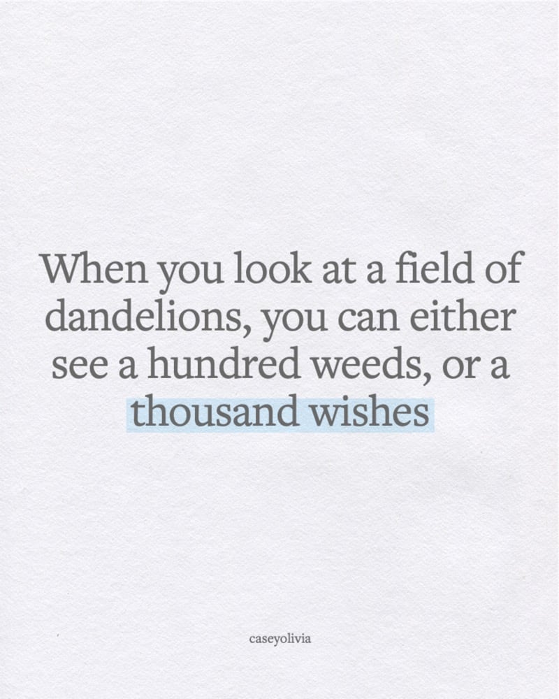a thousand wishes quote to change perspective