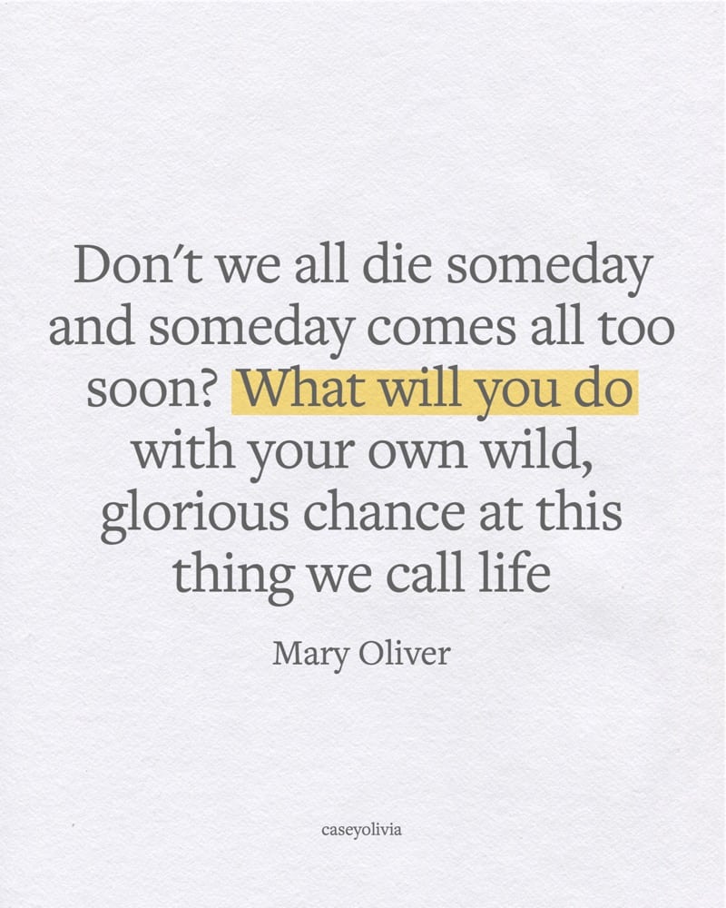 mary oliver wild glorious chance at life quote