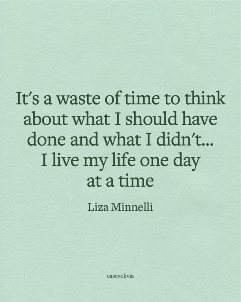 liza minnelli living your life quote