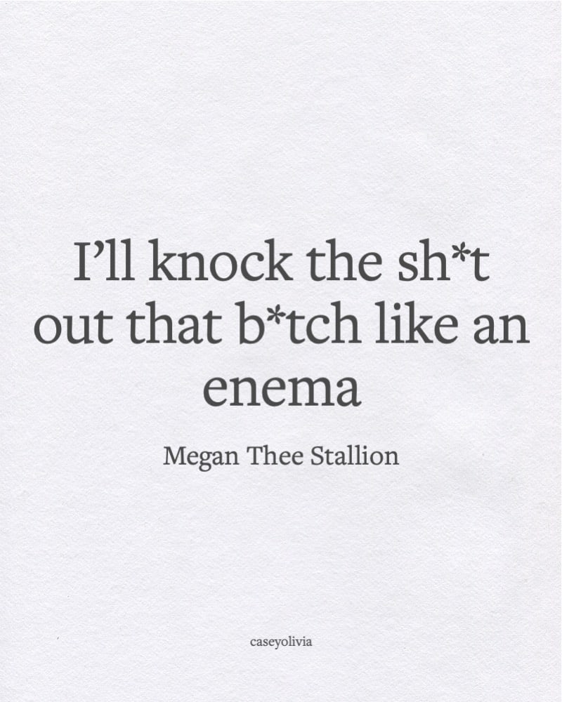 hilarious megan thee stallion knock it out quote
