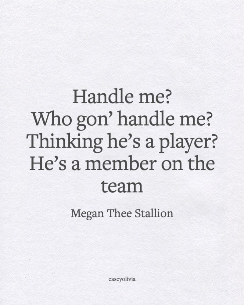 megan thee stallion lyric caption image