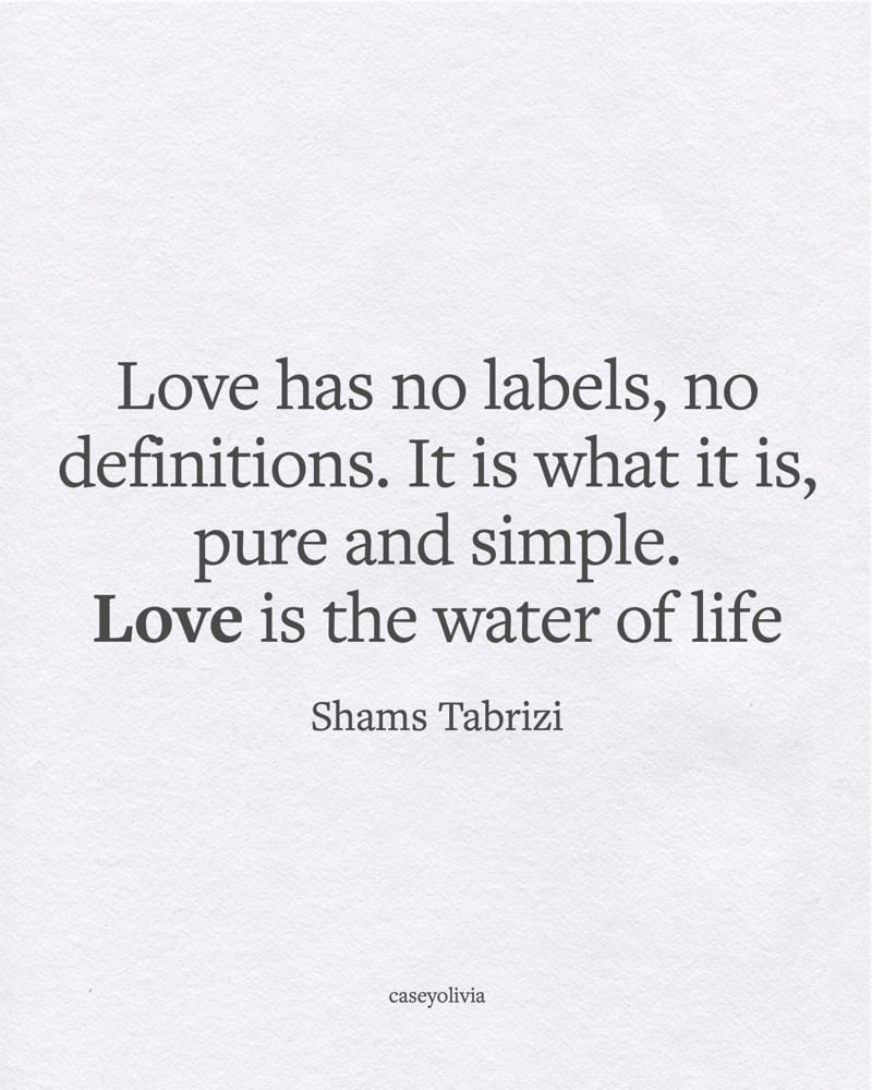 pure and simple love quotation by shams tabrizi