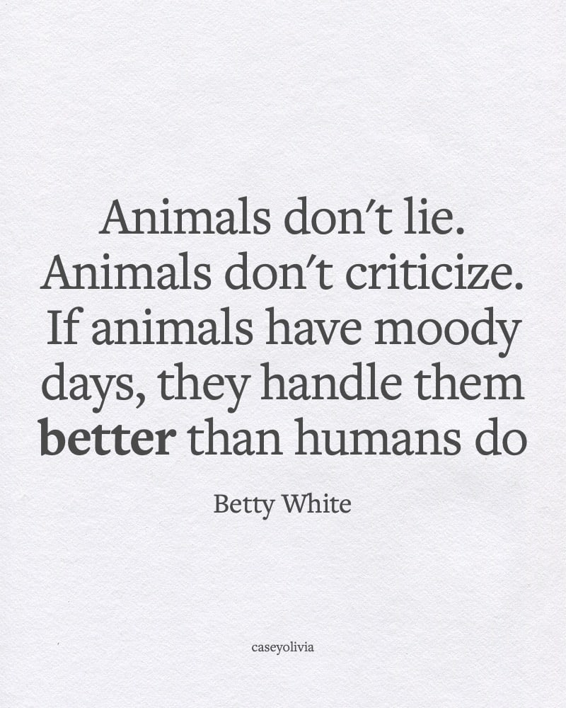 betty white loving animals inspiring saying
