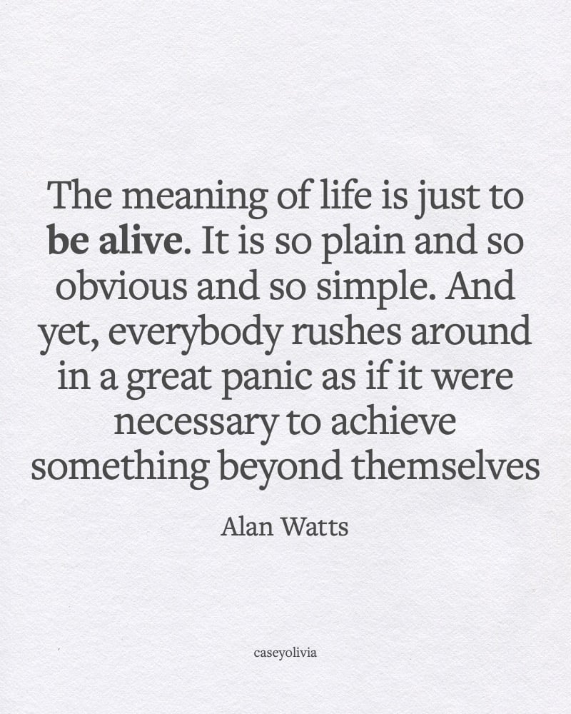 the meaning of life is just to be alive inspirational quote