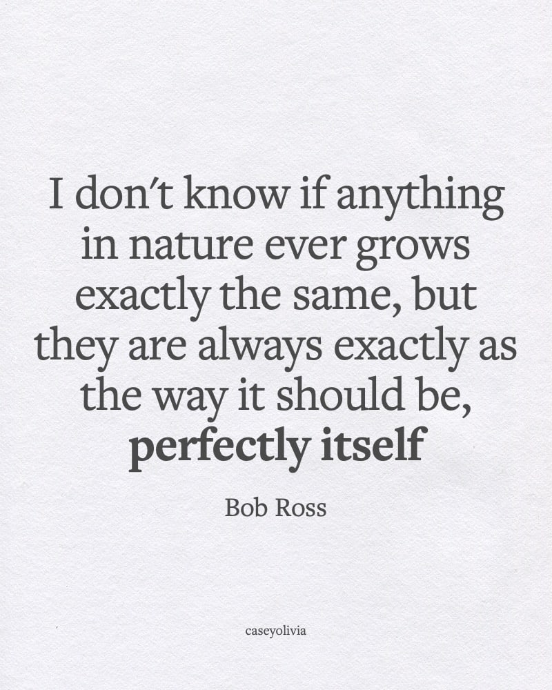 bob ross just as it should be famous saying