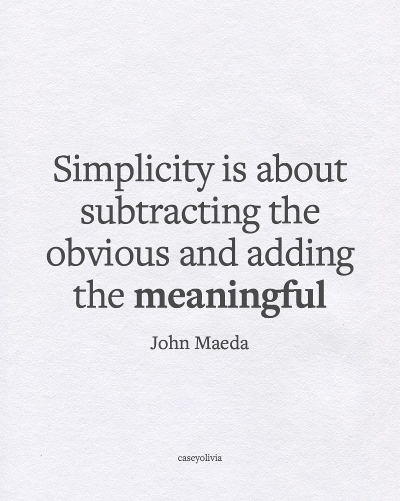 john maeda simplifying things in life quotation