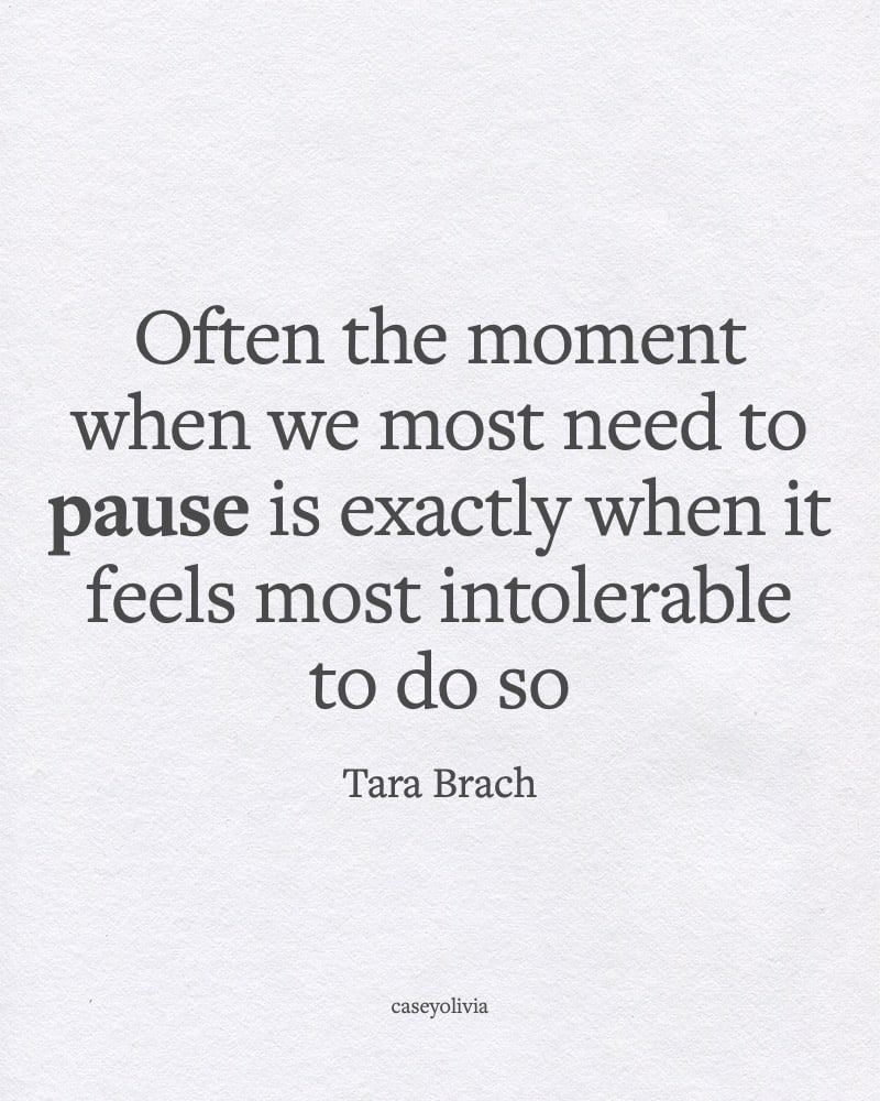 the moments when we need to pause quotation