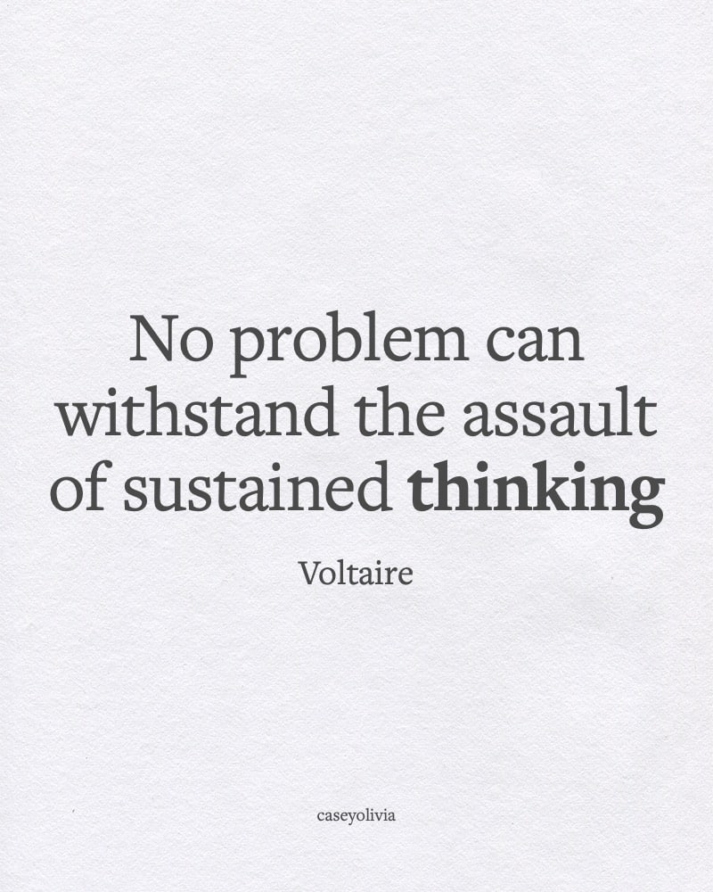 sustained thinking voltaire saying about leadership