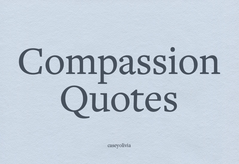 list of the best quotes and images about having compassion