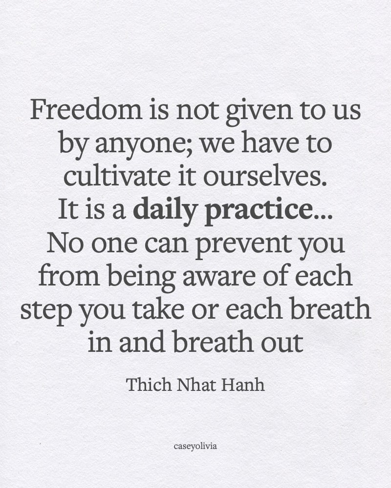 thich nhat hanh daily practice of gratitude quote