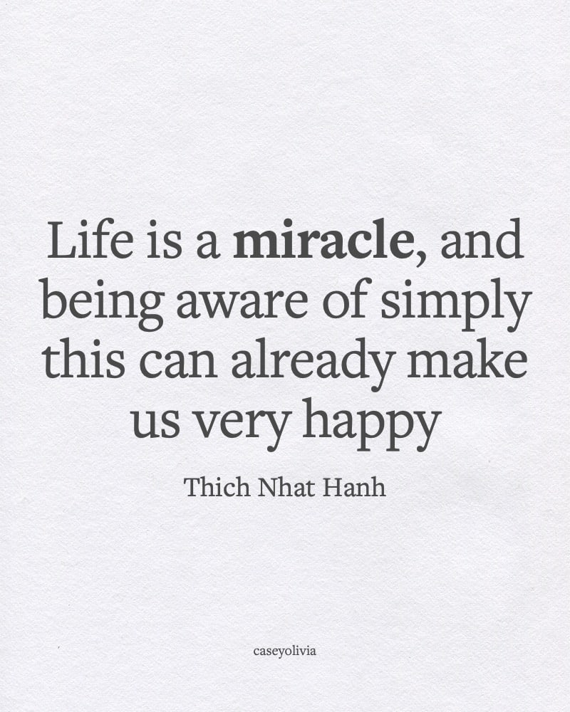 life is a miracle positivity caption