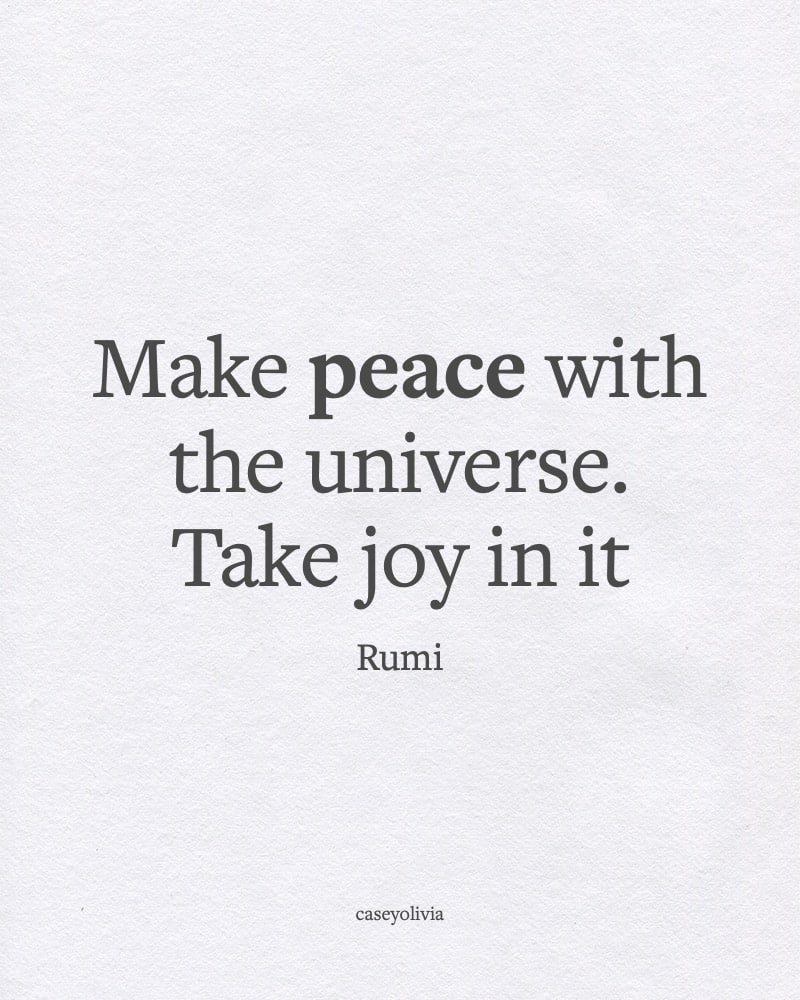 make peace with the universe rumi quotation