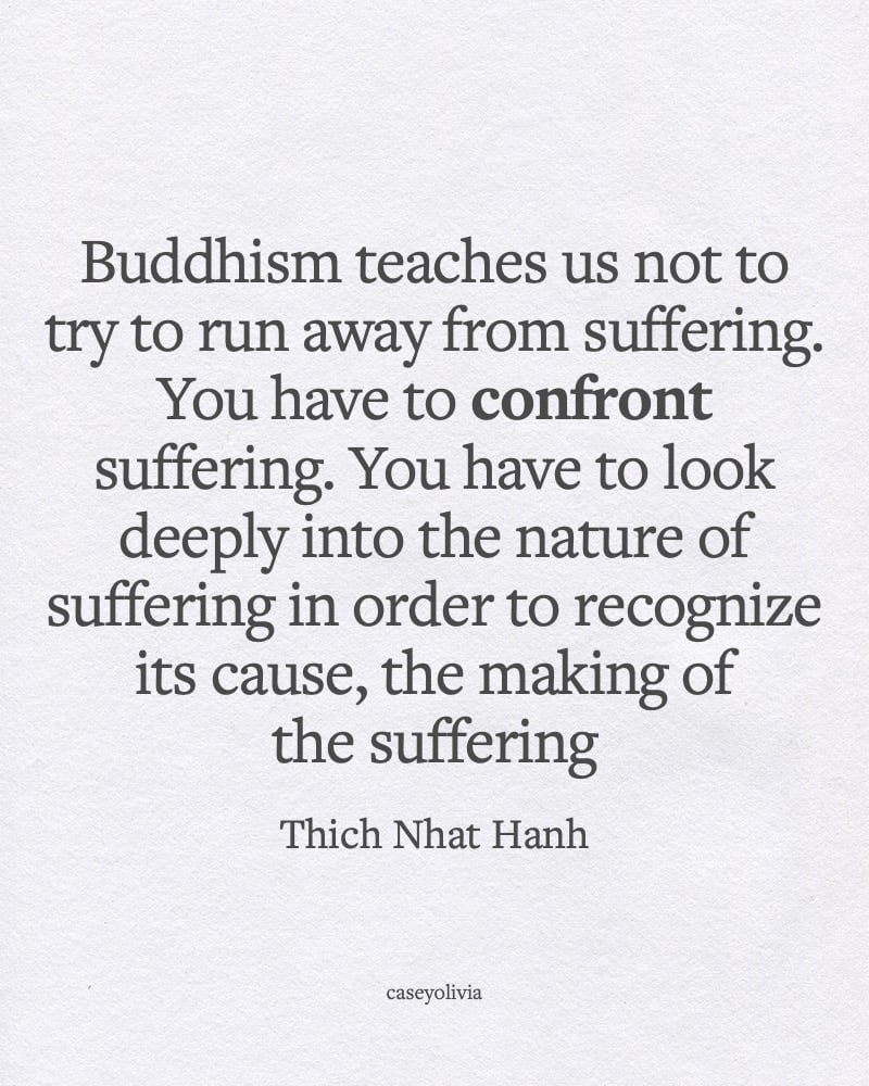 buddhism teaches us thich nhat hanh