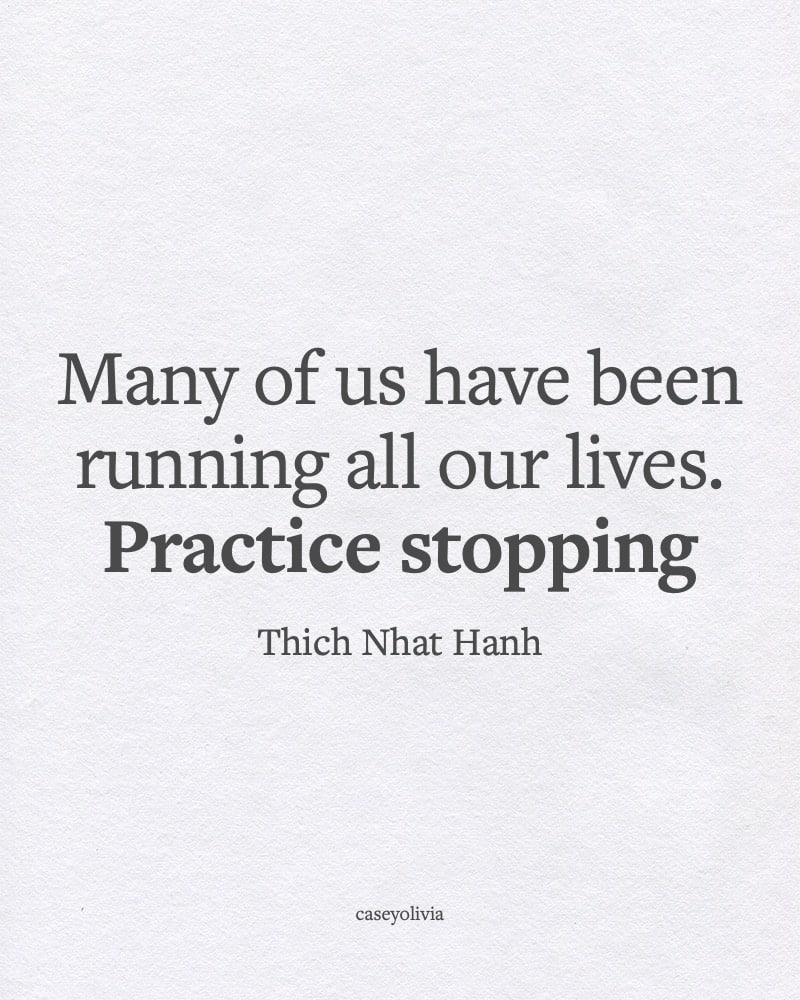 practise stopping caption thich nhat hanh