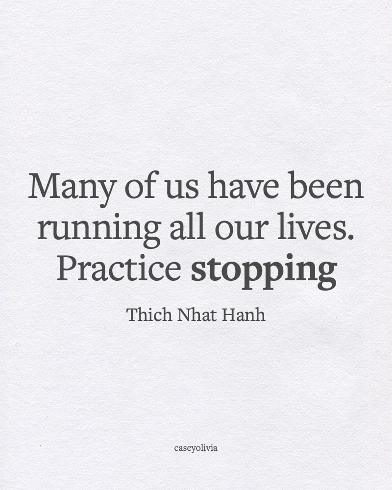 slow down quotation from thich nhat hanh about life