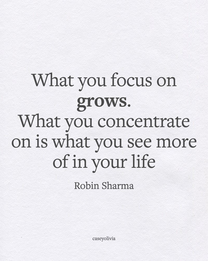 what you focus on grows quotation