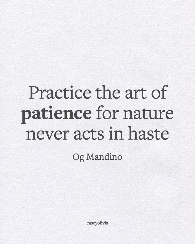 the art of patience og mandino
