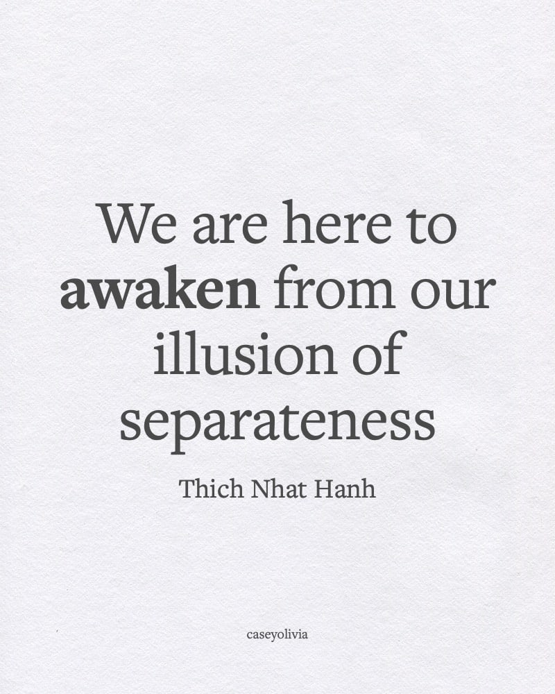 thich nhat hanh awaken from separateness
