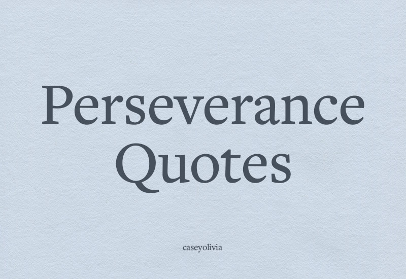 list of the best perseverance quote images for motivation