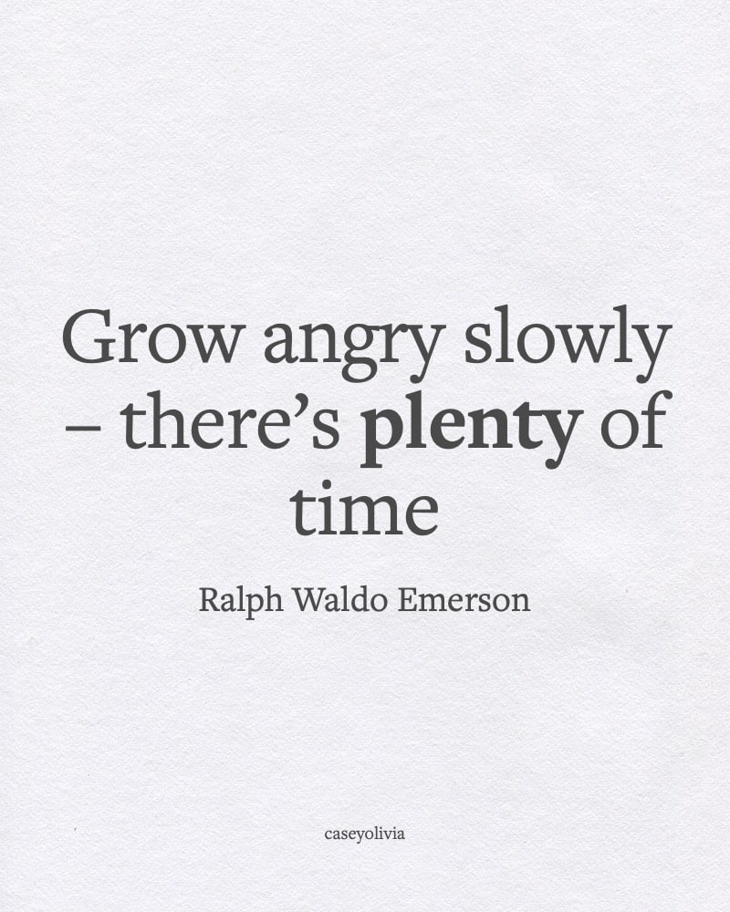 slow dont and control your emotions quote