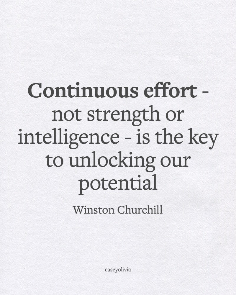 winston churchill continuous effort quote about hard work