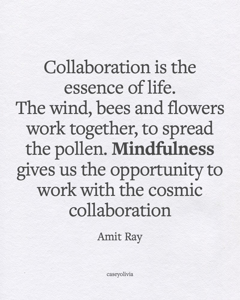 amit ray collaboration is the essence of life caption