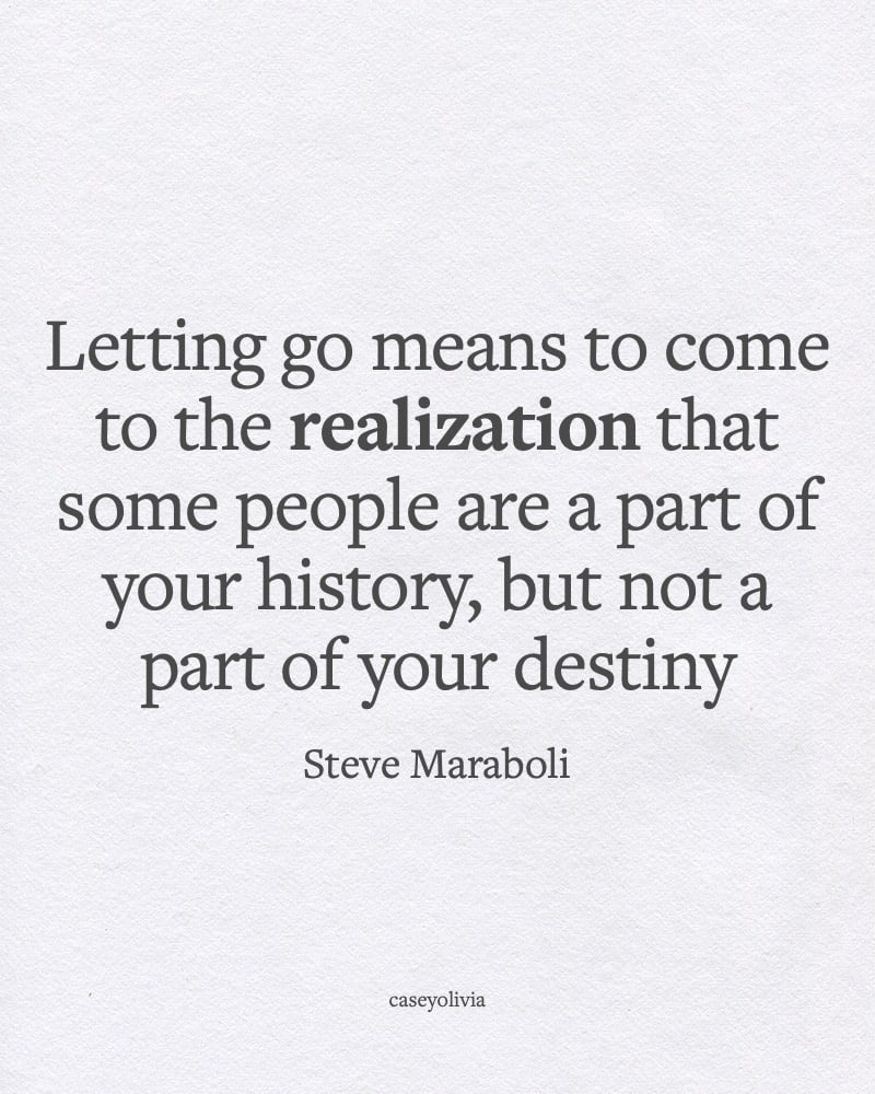 the meaning of letting go quote from steve maraboli