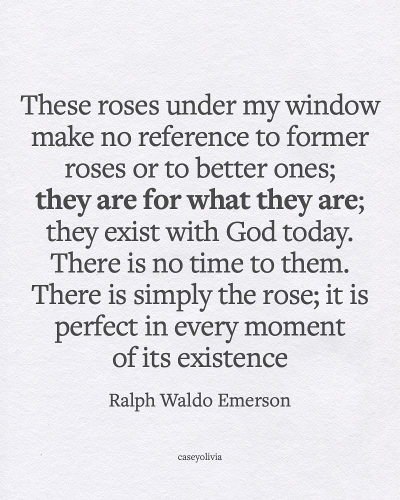 ralph waldo emerson they are for what they are nature quote