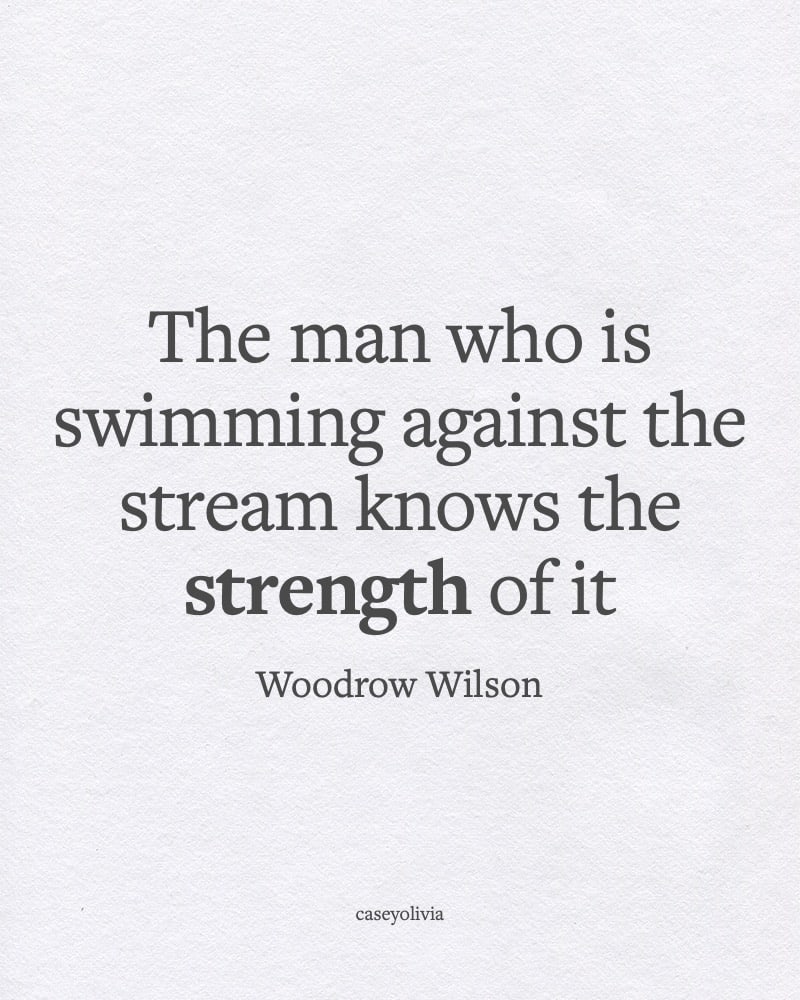 strength of perseverance quote woodrow wilson